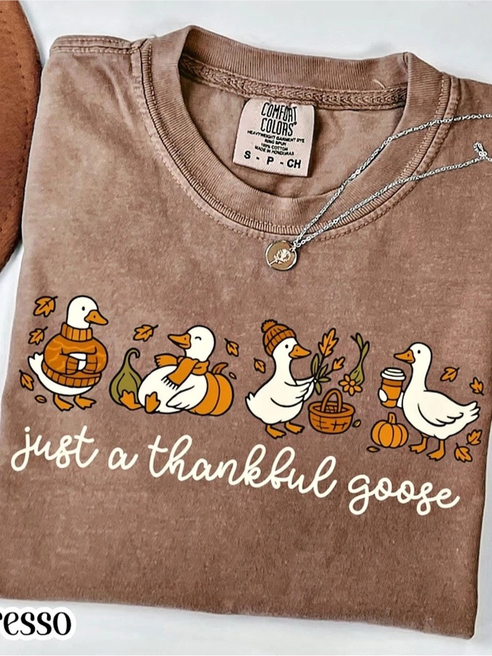 Comfort Colors Just a Thankful Goose Comfort Colors Tee Brown & White